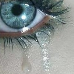 Nareen Nour Elattrouzy