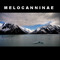 Melocanninae
