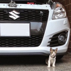 Chatmongkol Jiraputtarom