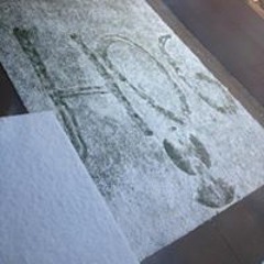 Michael James Carl Jr.