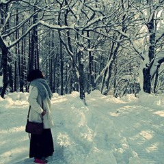 Vina Ardha