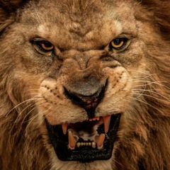 Dancehall Mix 2015 Vybz Kartel Mavado Alkaline Sean Paul Konshens Popcaan and more