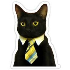 BusinessCat