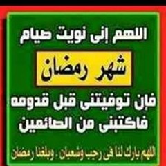 معتز