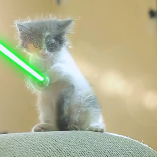 Котик джедай