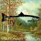 Stationary Salmon