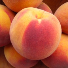 The Georgia Peaches
