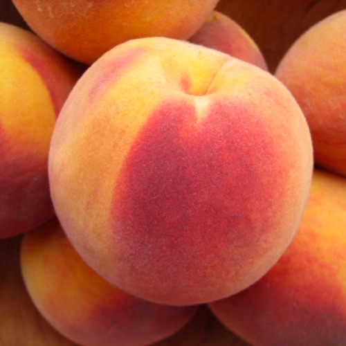 Stream The Peaches music Listen to songs, albums, playlists