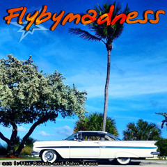 Flybymadness