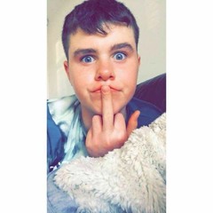 rhys willis