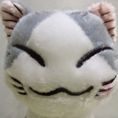 Pritami D. Rahmadian