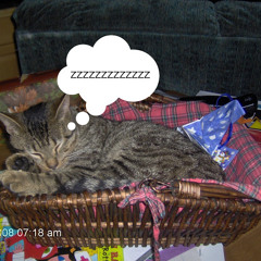 Tell Me I'll Be Yours