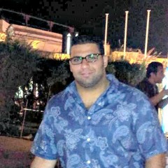 Abdelhamid Mohamed Medany