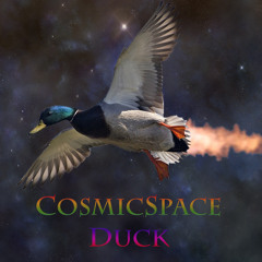 CosmicSpaceDuck