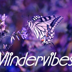 vlindervibes