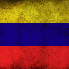 Daniel Vergara Rincon