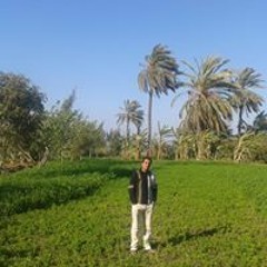 Elsayed Elsebay