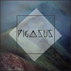 PigasuS
