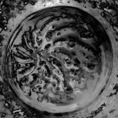 SONIC SANDESH DIMENSION