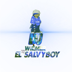 Salvyboy Master