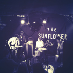 The Late Runners