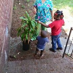 Linda Daniels Forman