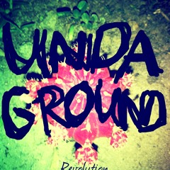 Undaground Revolution