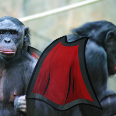 Apes With Capes