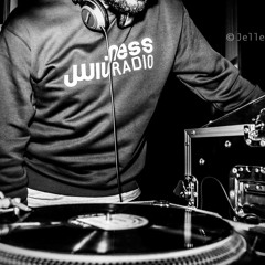 Collectiq 19102010 The Fender Rhodes Edition