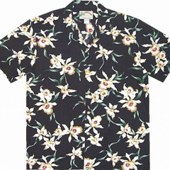 Hawaiian shirt