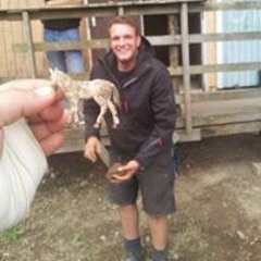 Felix Vollgas-Heinrich