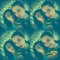 RoDy Tarek