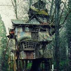 Live Music Tree House