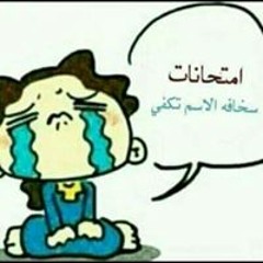 Amira M Elasmer