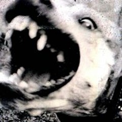 Hrodulf Cináed Neuhaus