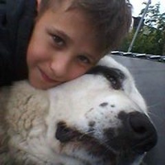 Domis