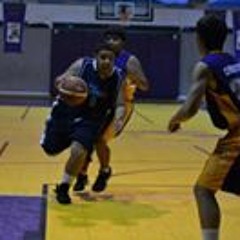 Gustavo Andres Borges