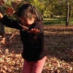 Cynthia Soledad Bravo