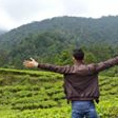 tony hutasuhut