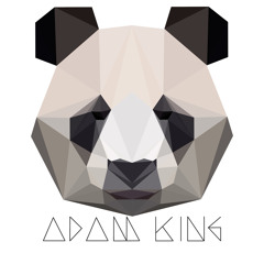 dj adam king