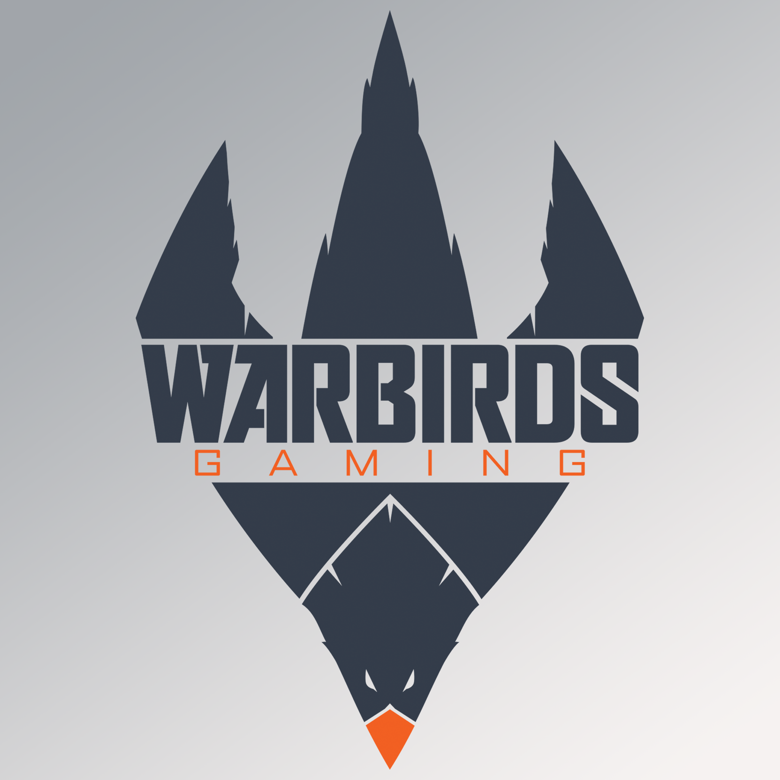 WarBirds Gaming podcast artwork