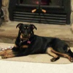 Lisa Keller Korhummel