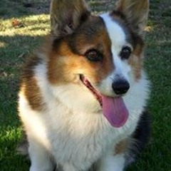 Fanon Norberg-Downing