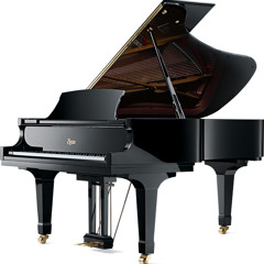 Sonata For Harpsichord Four Hands In C Major, K19 - D I Allegro