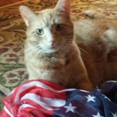 Jan Elkins Cleveland