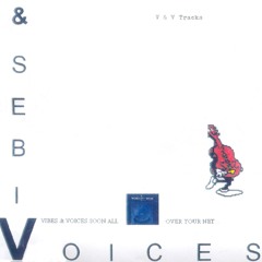 Vibes&Voices aka depause