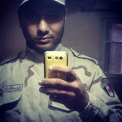 Elbashmohandes Torky