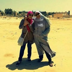 el dleemy