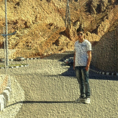 mreza