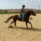 yuval aviram